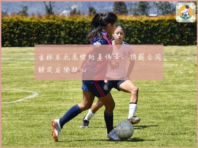 吉林东北虎续约姜伟泽,顶薪合同锁定后场核心