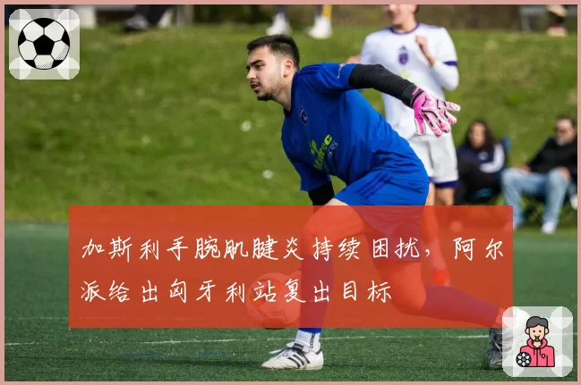 加斯利手腕肌腱炎持续困扰,阿尔派给出匈牙利站复出目标